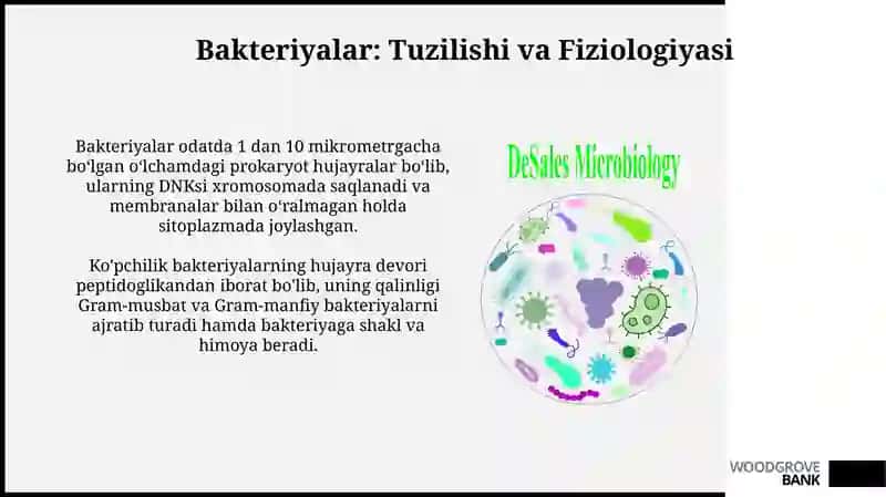 Viruslar, bakteriyalar, zamburug'lar mavzusiga qilib bersin 4
