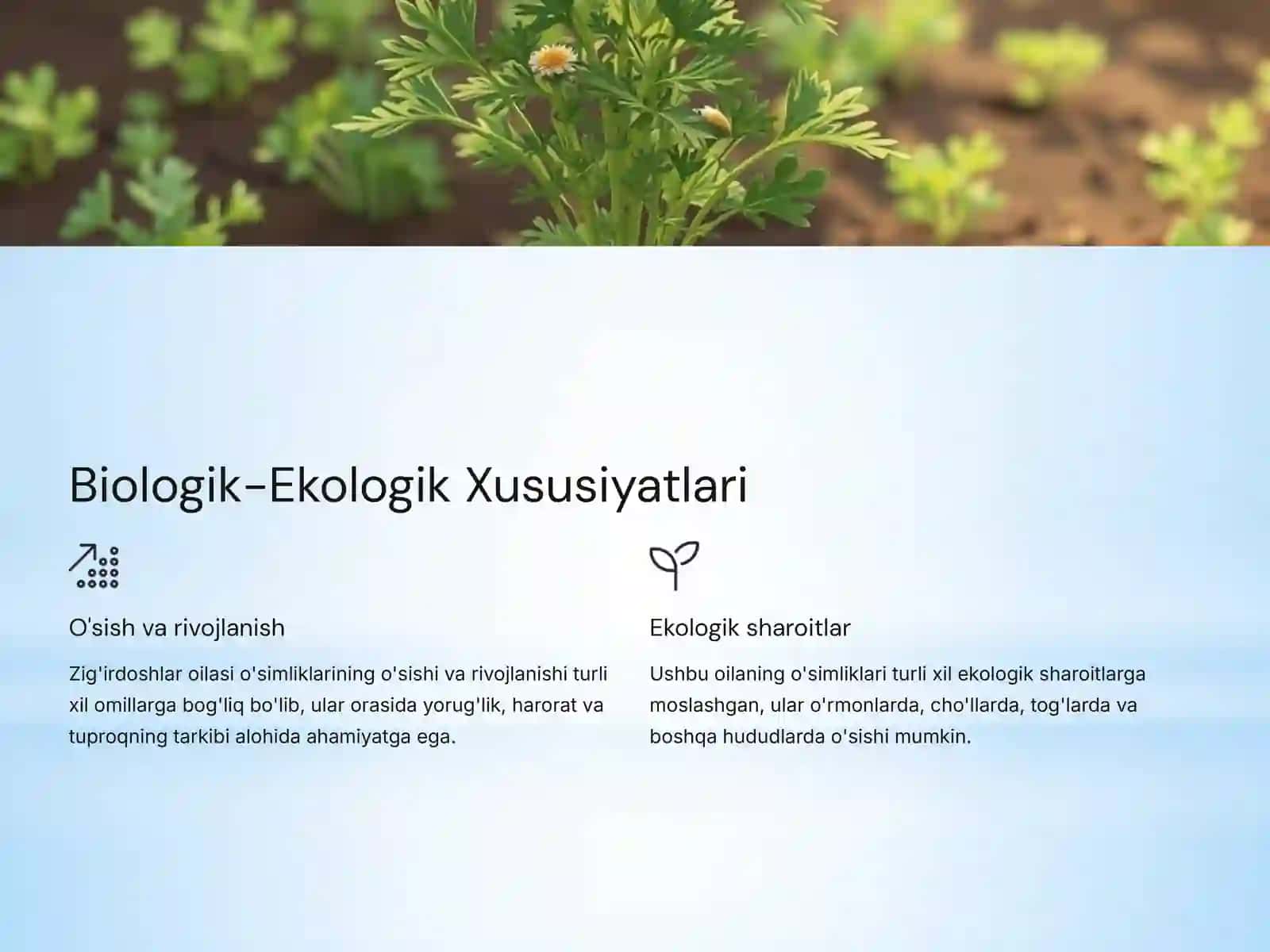 Zig'irdoshlar Oilasi: Biologiyasi, Ekologiyasi, Areali va Ahamiyati 4