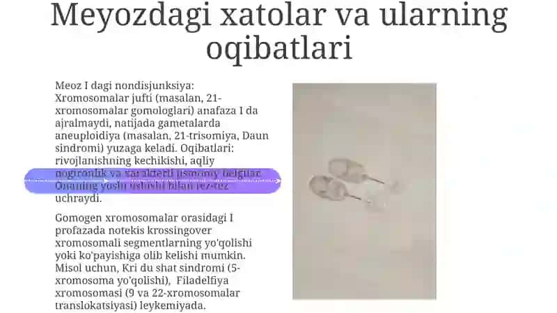 Meyoz 4