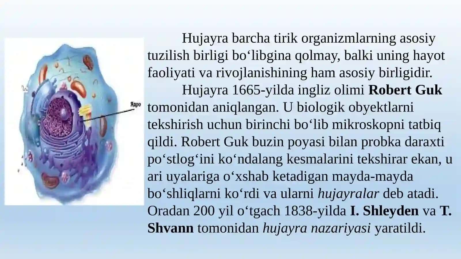 Hujayraning oziqlanishi rivojlanishi va ko`payishi chi: Ijtimoiy-gumanitar fanlar Sh.Kurbanova 4