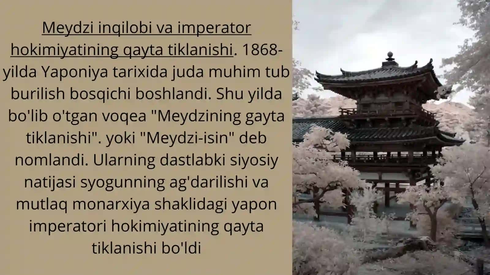 Yangi davrda Yaponiya 4