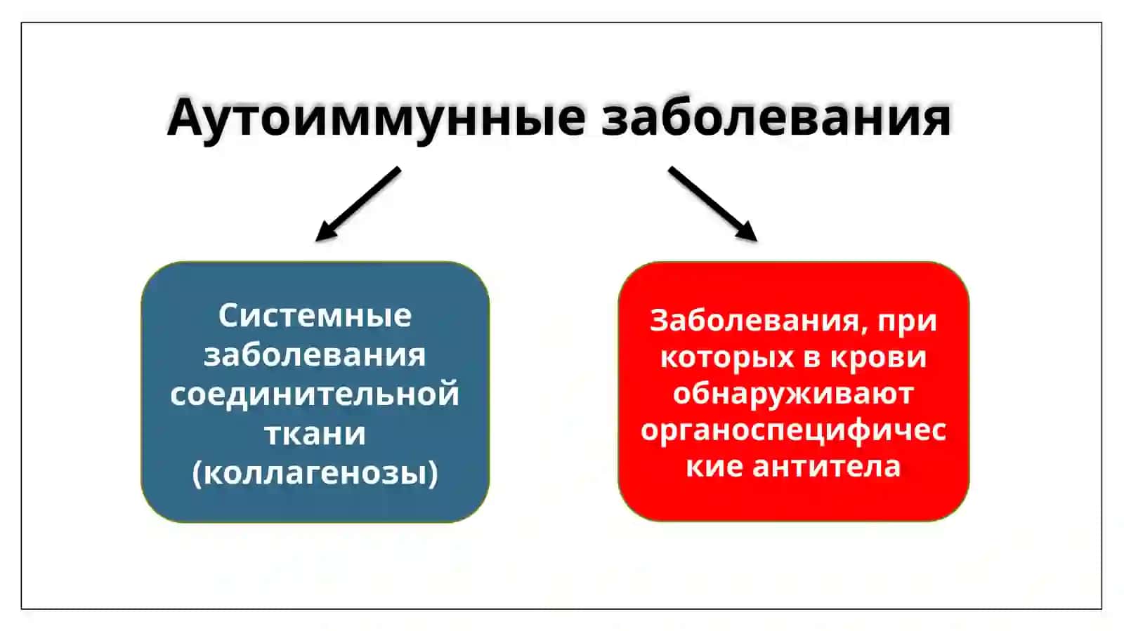 Аутоиммунные заболевания 4