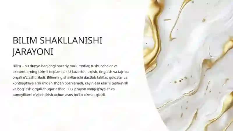 BKM Shakllanishining Asosiy Bosqichlari 4