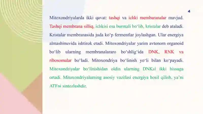 Hujayra organoidlari; 4