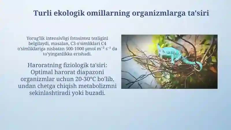 Ekologik omillarning ta'zir mekanizmlari 4