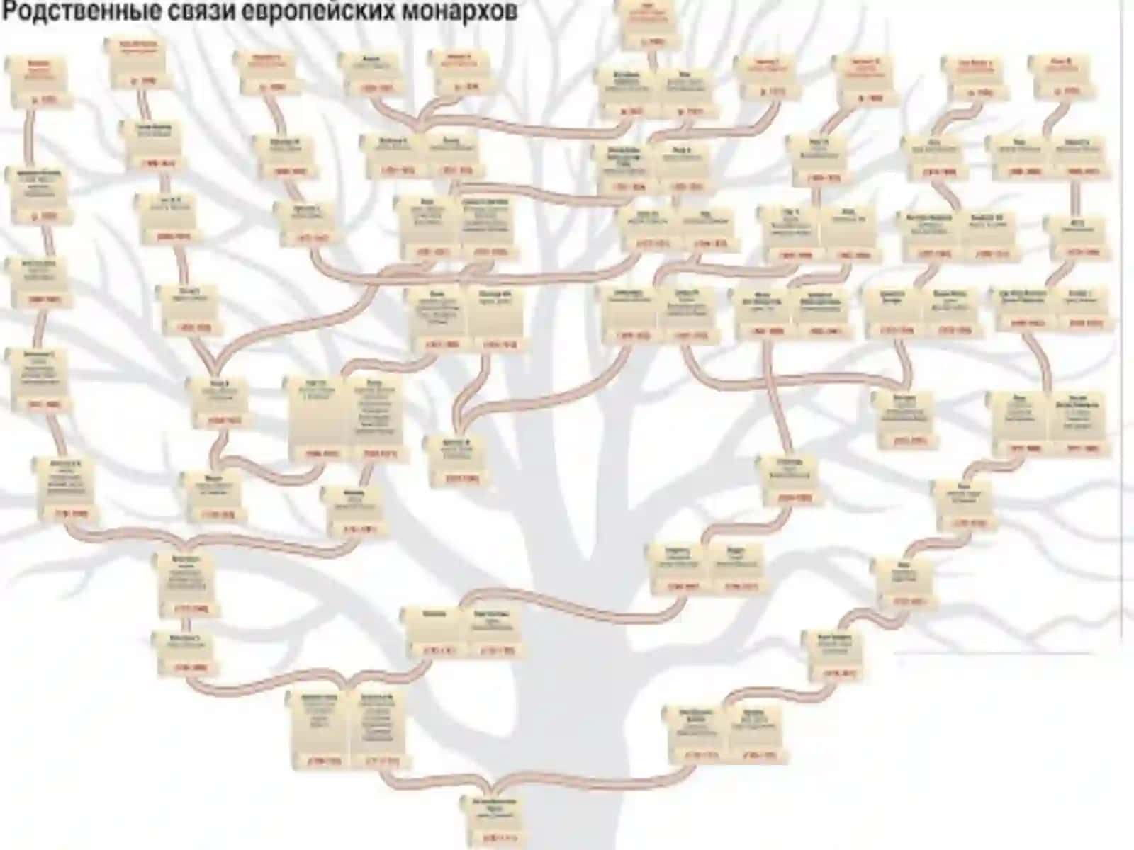Qarindoshlar o'rtasidagi nikohning salbiy oqibatlari 4
