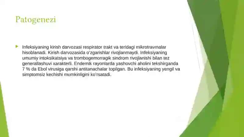 Ebolagemorragikisitmasi 4