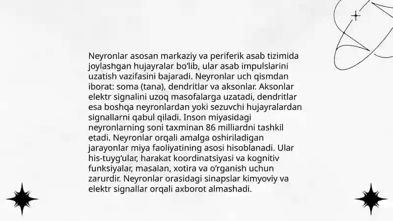 Neyronlar va glial hujayralar tuzilishi 4