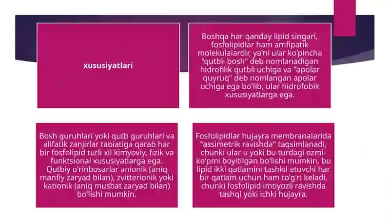 Fosfolipidlar 4