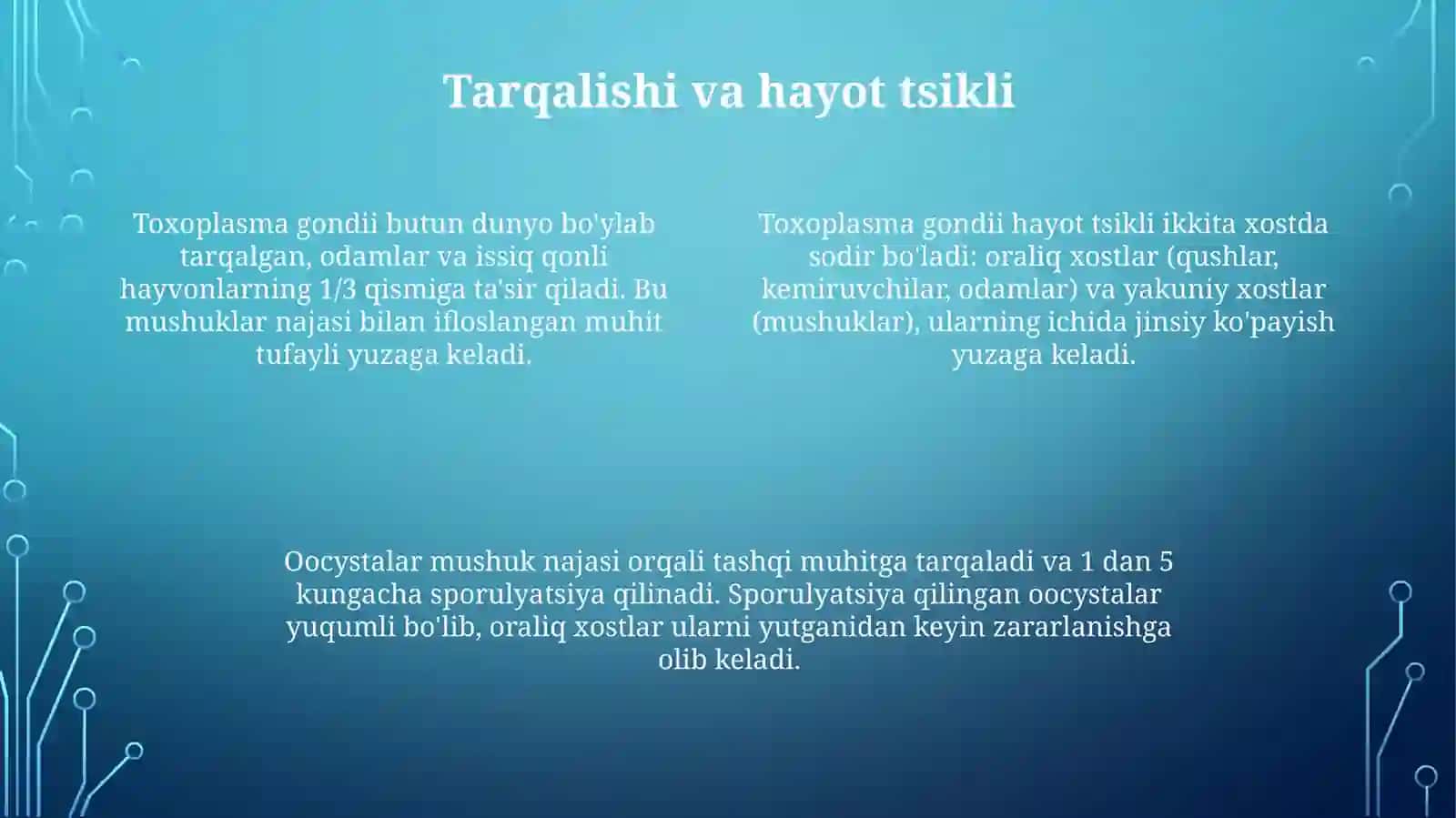 Mushuk soʻrgʻichi paraziti 4