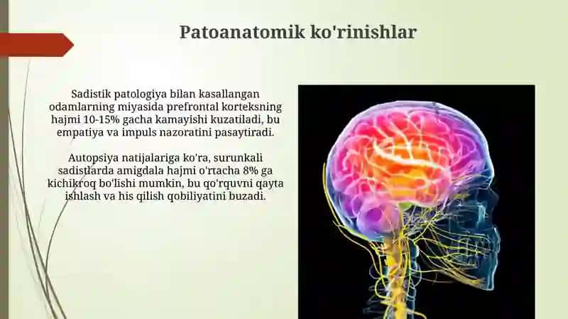Xomiladorlik patalogiyasi(odamlarda, patalogik anatomiya fanidan) 4
