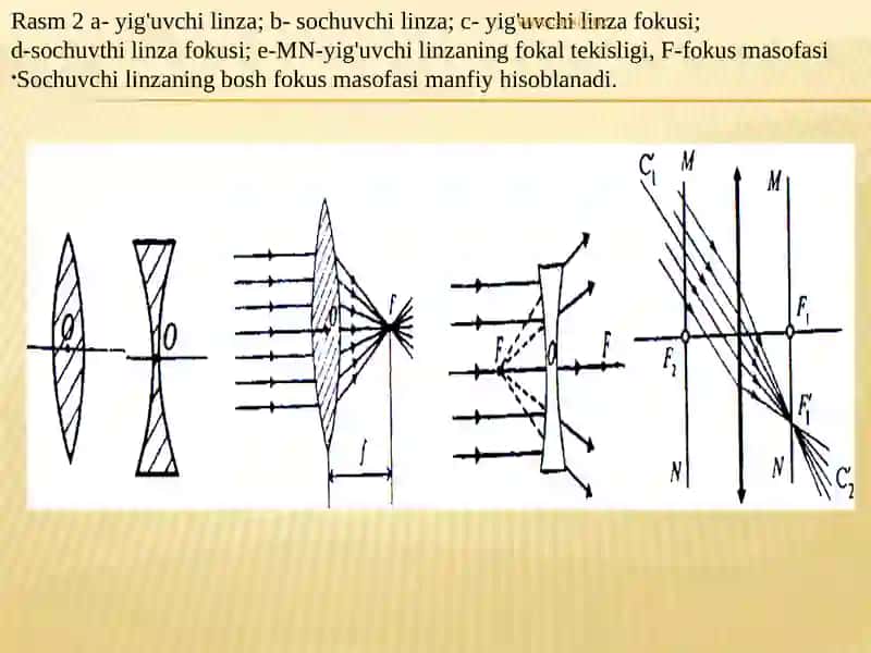 Linzalar 4