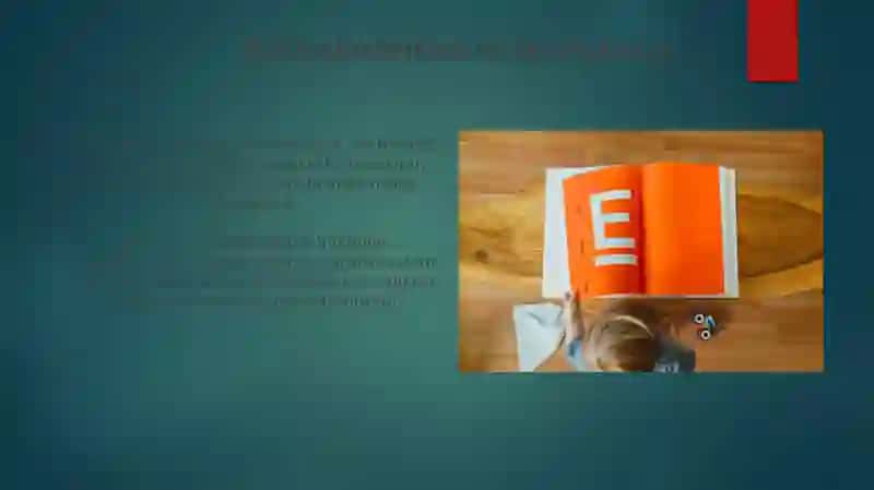 E-hukumat turlari 4