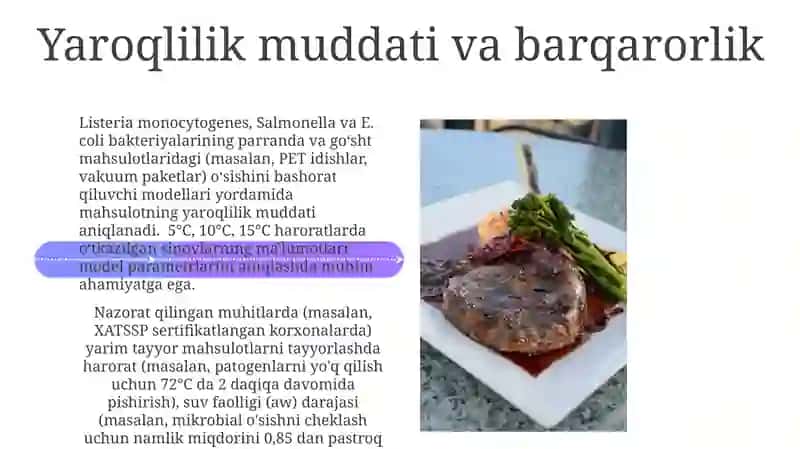 Go'shtdan yarim tayyor mahsulotlar tayyorlash 4