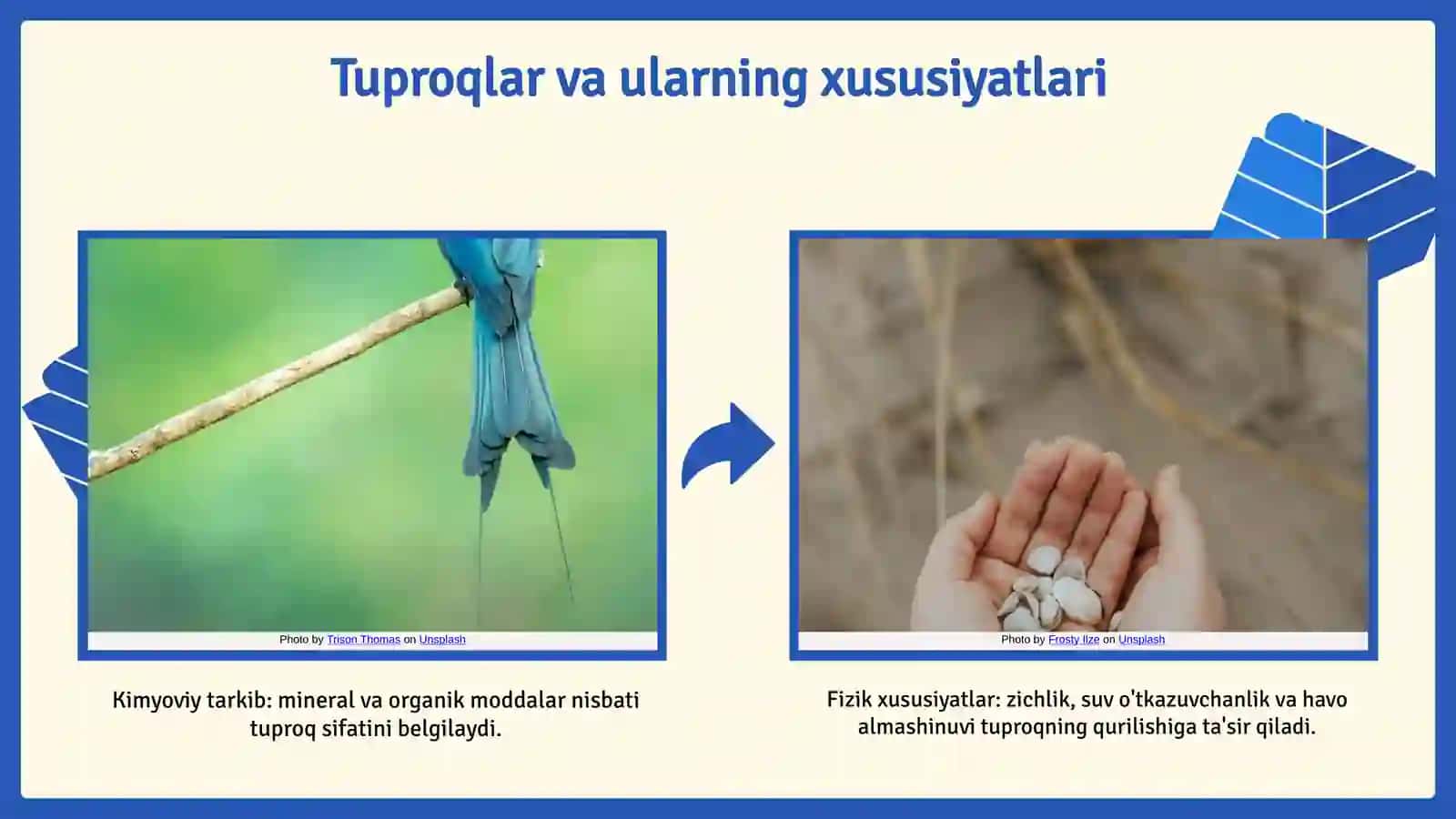 MDH davlatlari tuproqlari 4