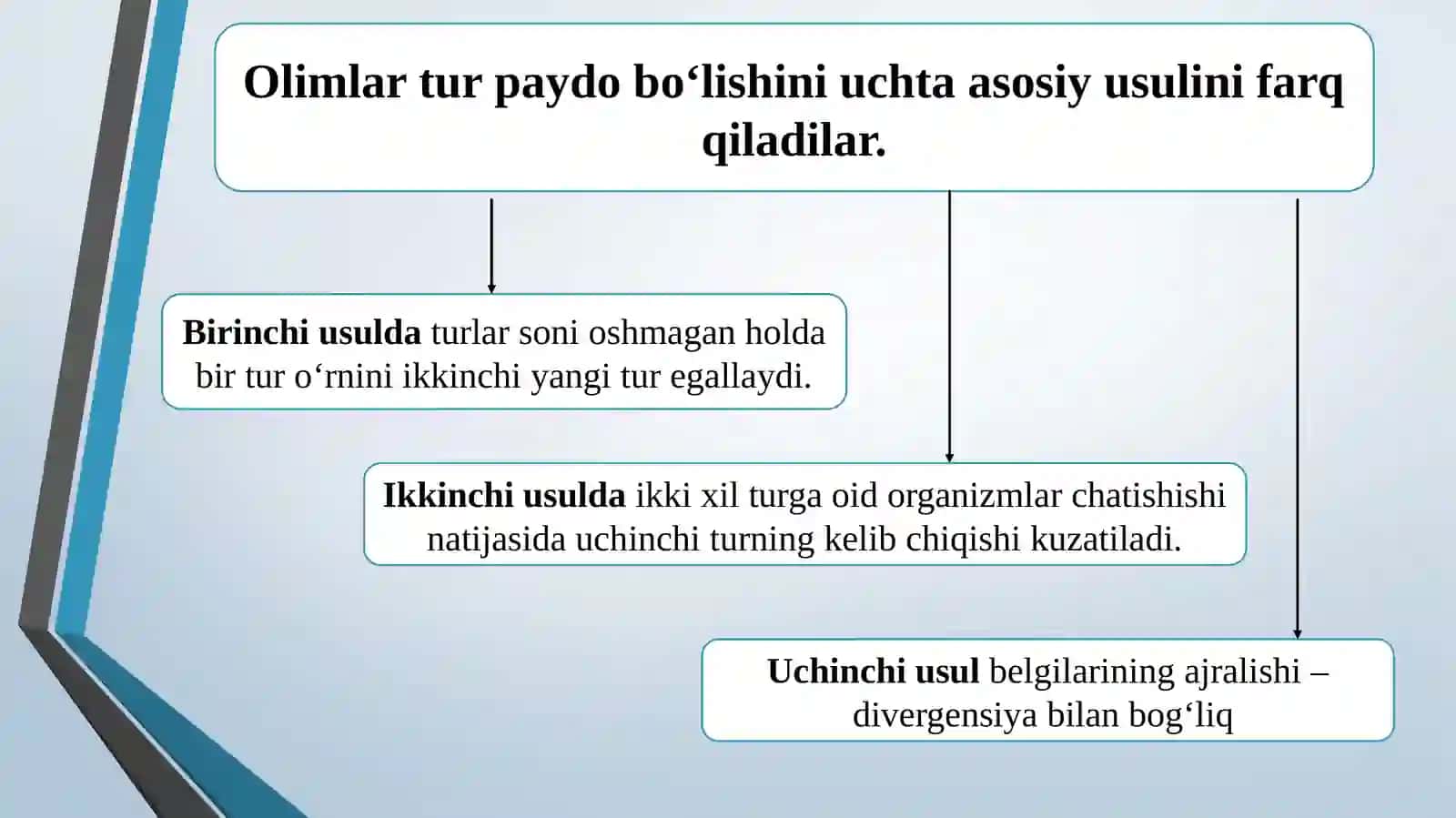 Turlarning paydo bo`lishi 4