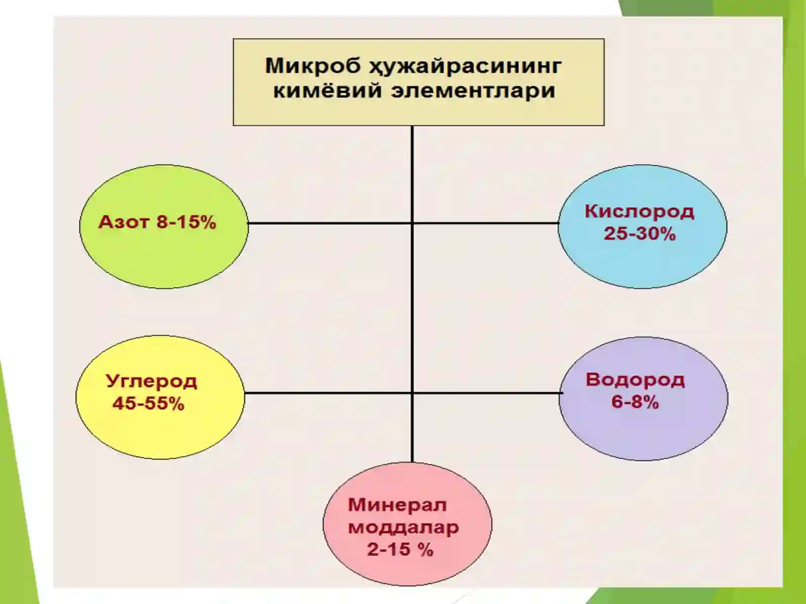 Микроорганизмлар физиологияси — озиқланиши, нафас олиши, кўпайиши, ўсиши. Озиқ муҳитлар. Микроорганизмларнинг ҳаёти фаолиятида ишлаб чиқарган маҳсулотлари 4