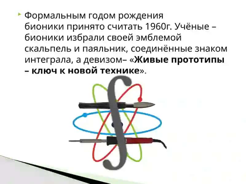Бионика 4