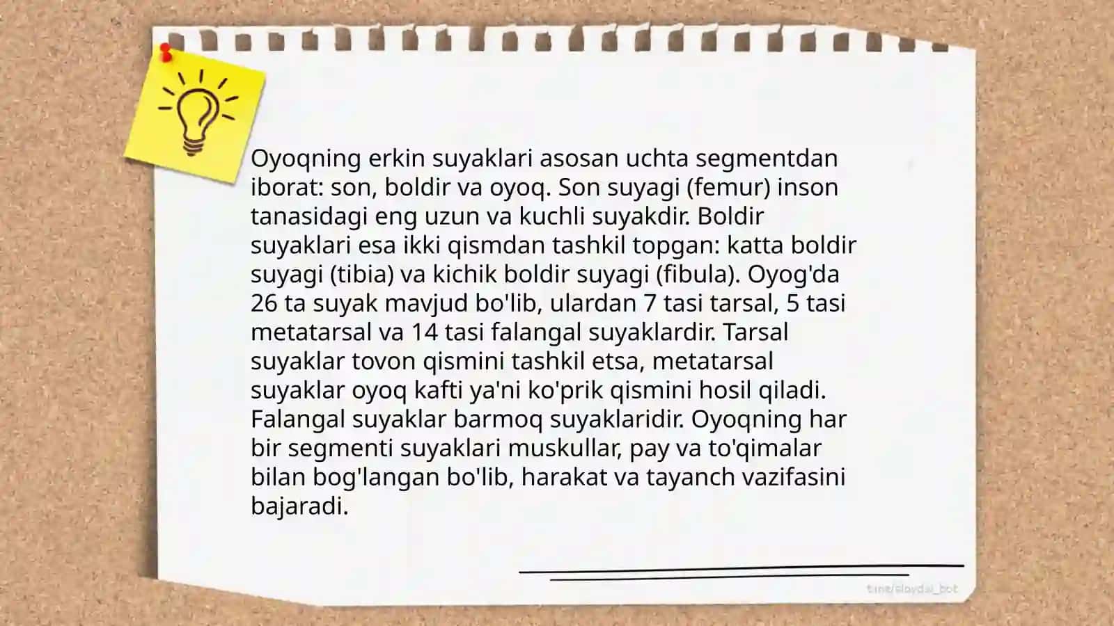 Chanoq kamari va oyoqning erkin suyaklari by Jumayeva Mahliyo 4