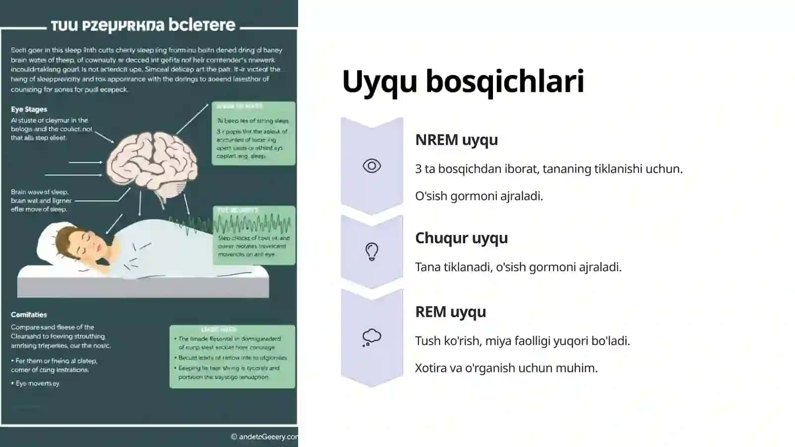Uyqu va uning ahamiyati 4