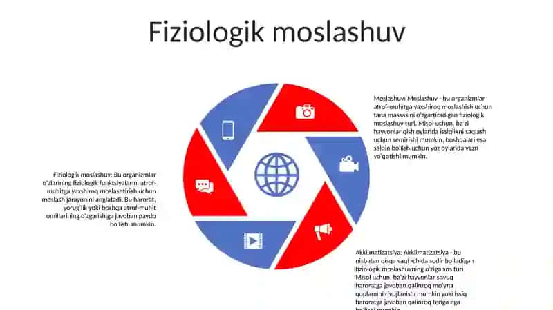 Moslashuv 4