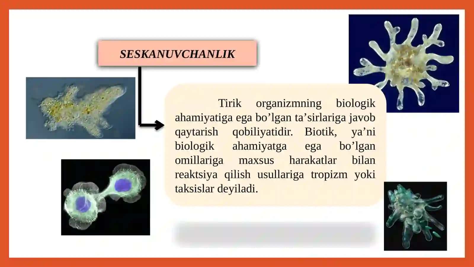 Psixik va ongning taraqqiyoti 4