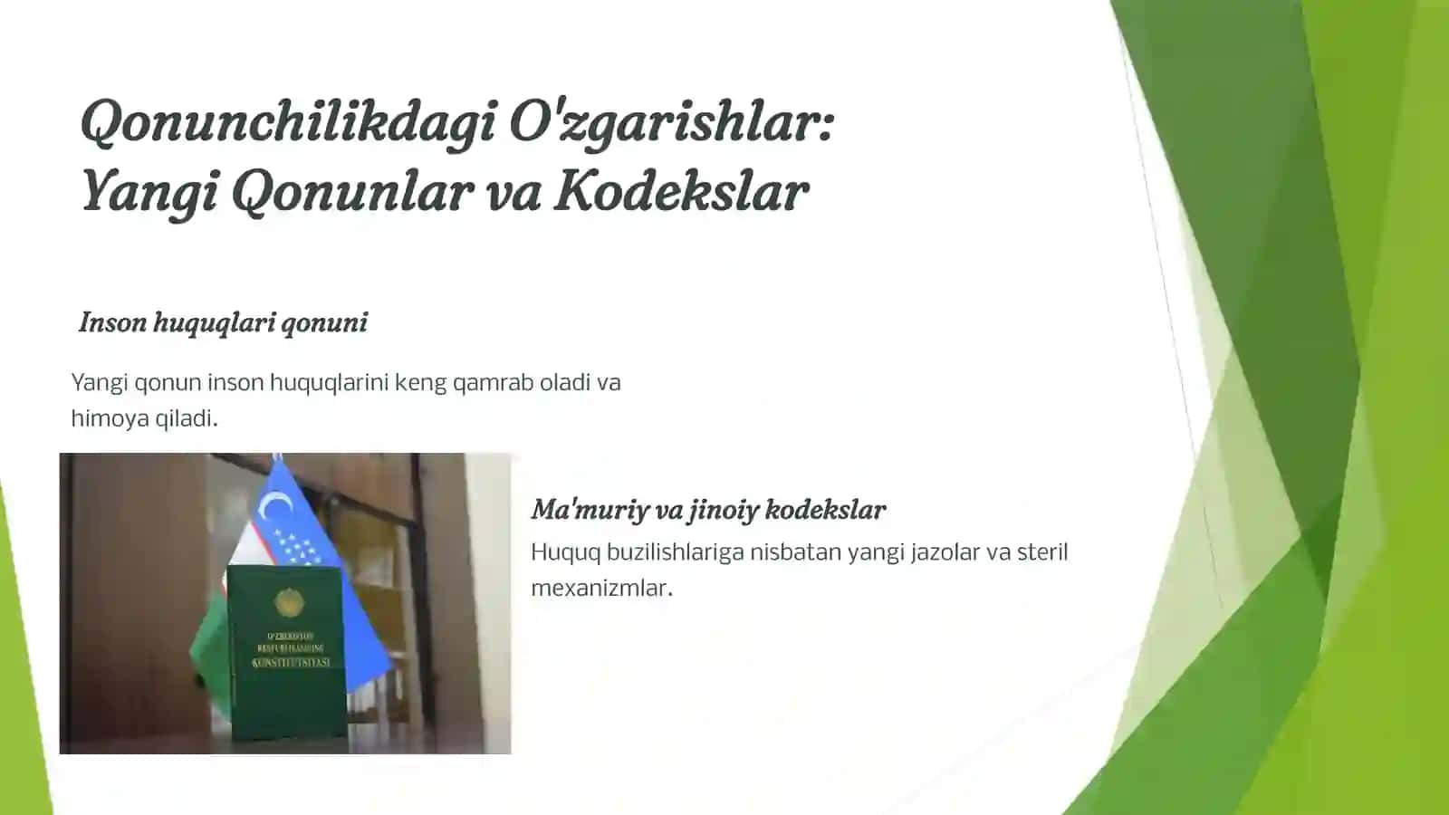 Yangi O'zbekistonda Inson Huquqlari va Erkinliklari Kafolatining Yaratilishi 4