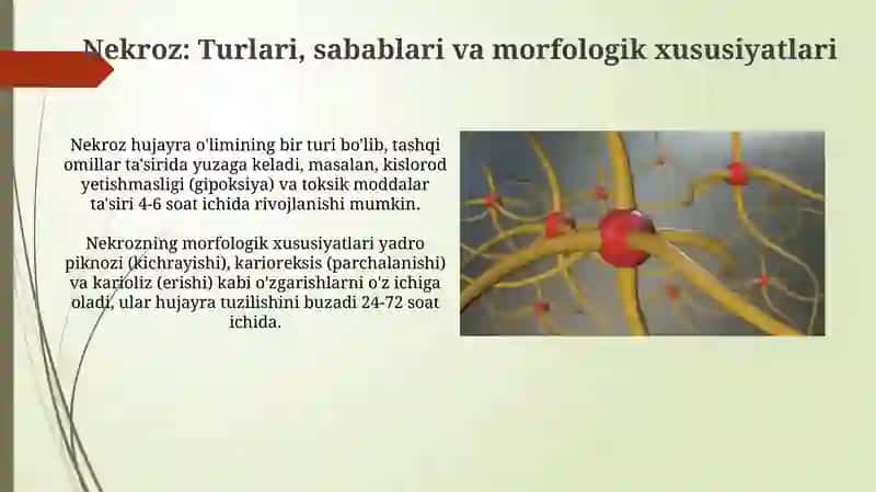 Harakatlanishning qaytar va qaytmas zararlanishi 4