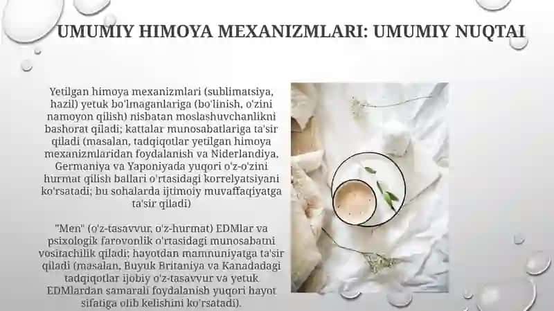 Psixologik himoya va Men konsepsiyasi 4