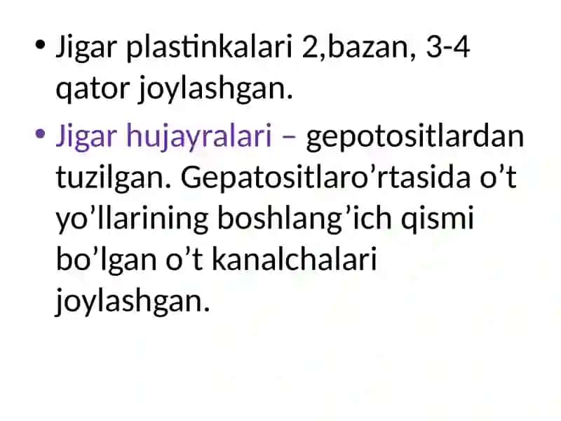 Jigar    gistalogiyasi 4