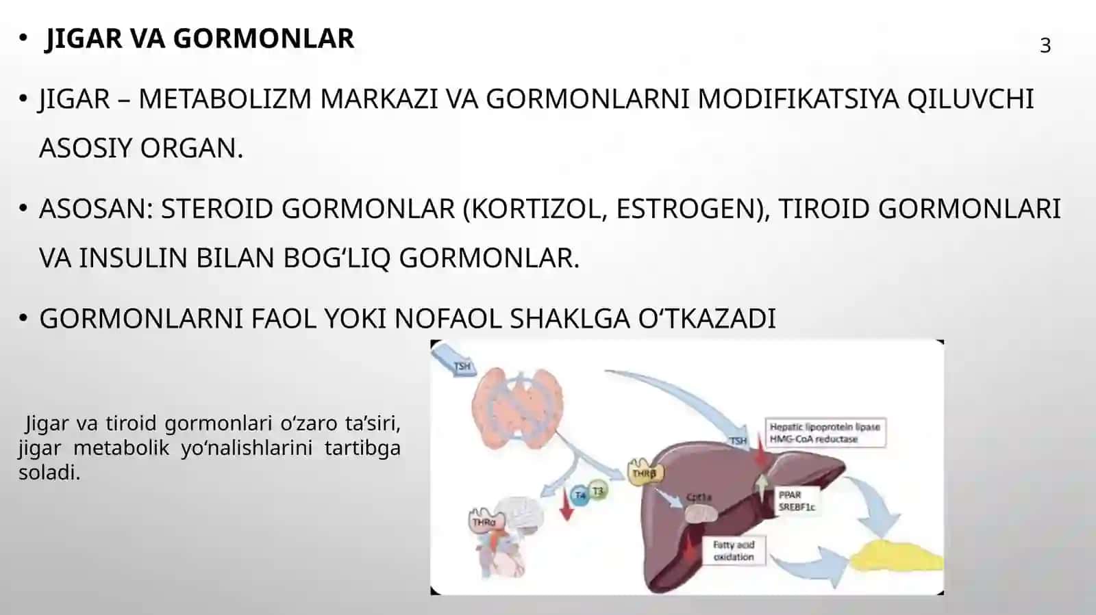 jigarda garmonlarning zararsizlantrilishi, klinik axamiyati. Metabolik sindrom kelib chqishining kimyoviy asoslari va asoratlari 4