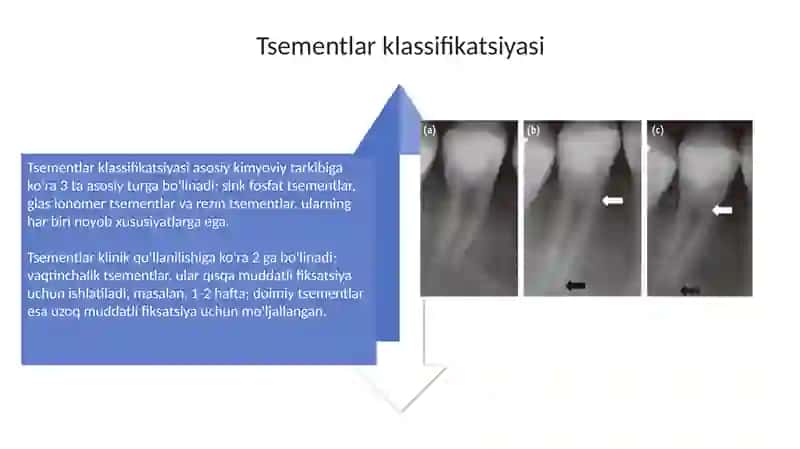 Tish va sementlar 4