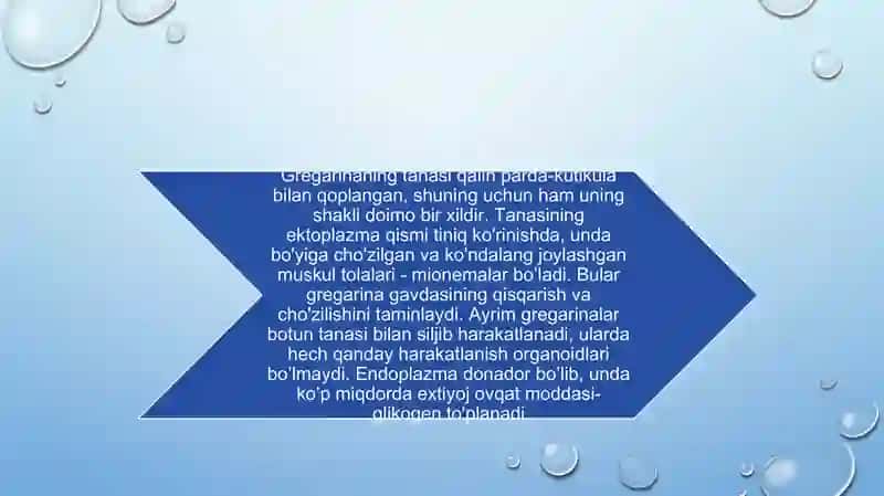 Alveolata tipi va uning tarkibiy qismi 4