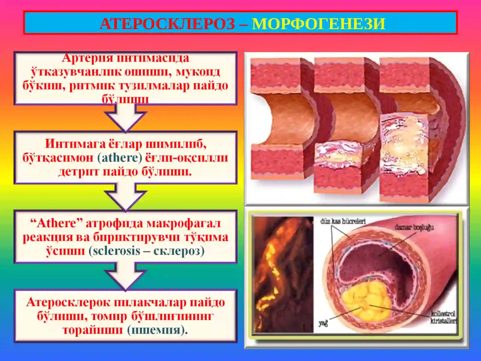 ПАТОЛОГИК АНАТОМИЯ 4