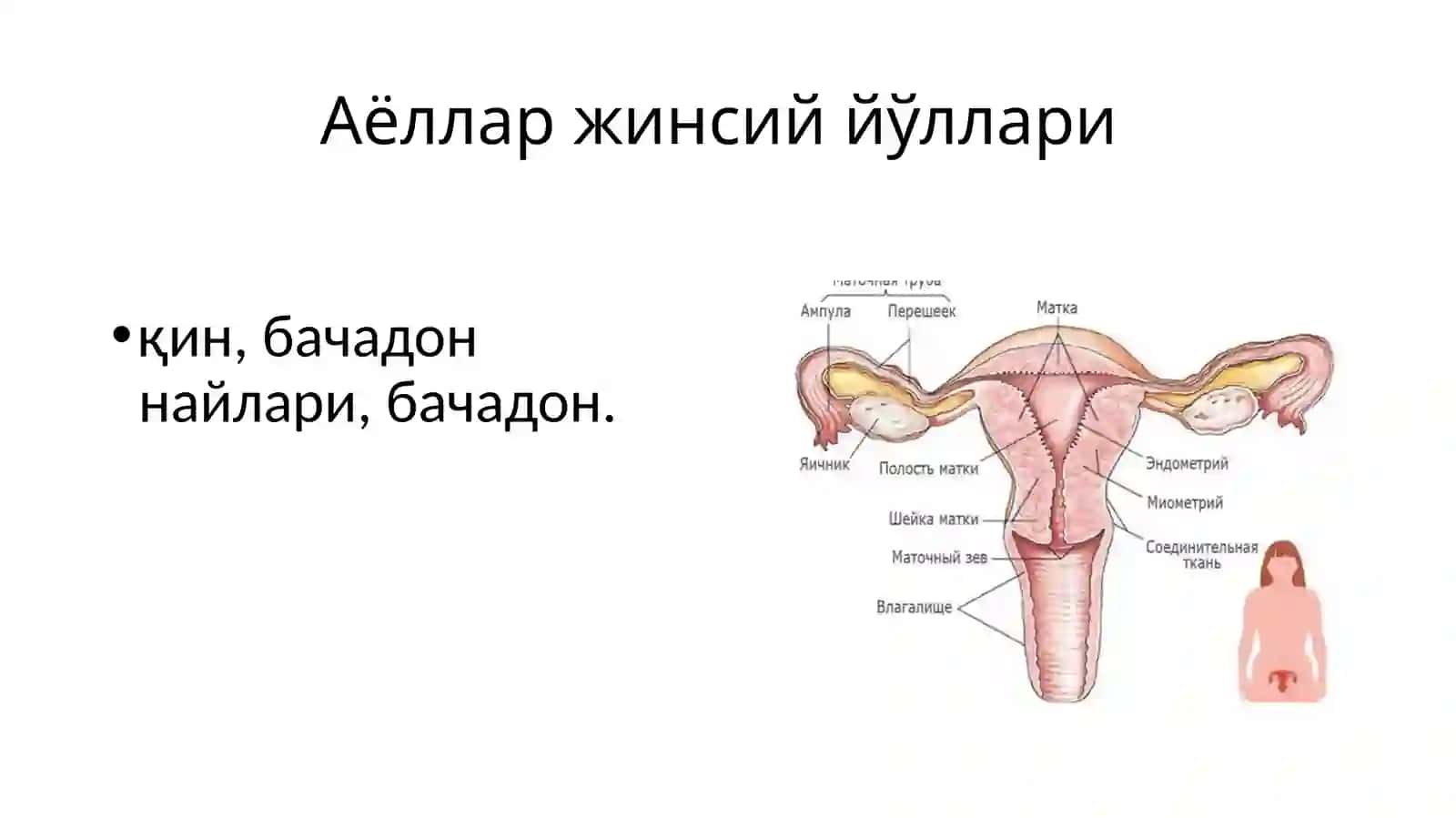 Репродуктив система нур ташхисоти 4