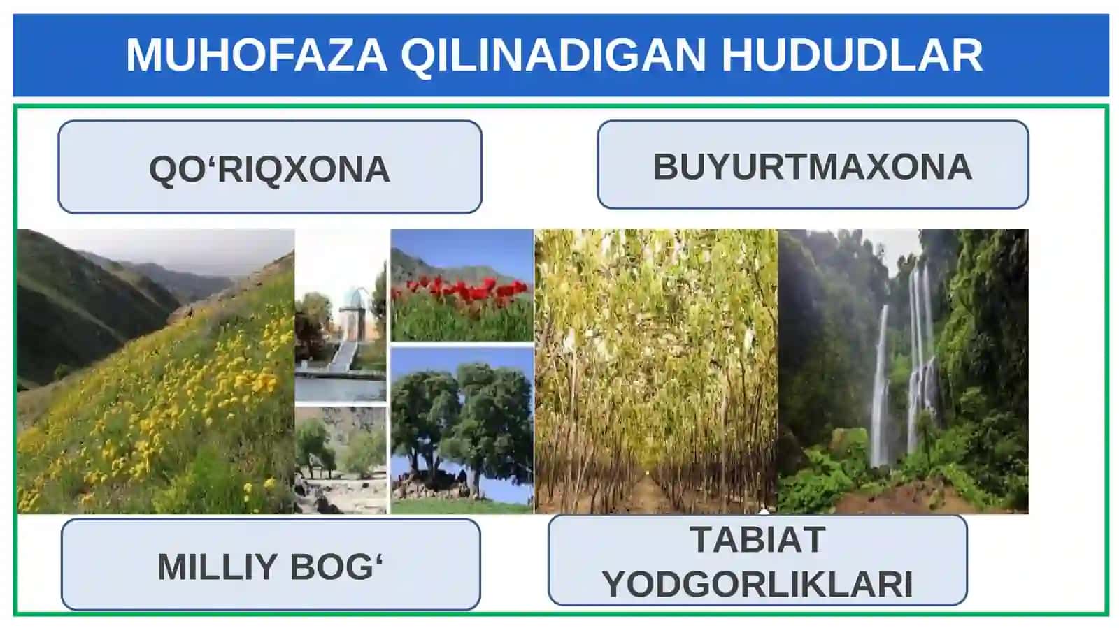 BIOLOGIYA 5-sinf 4