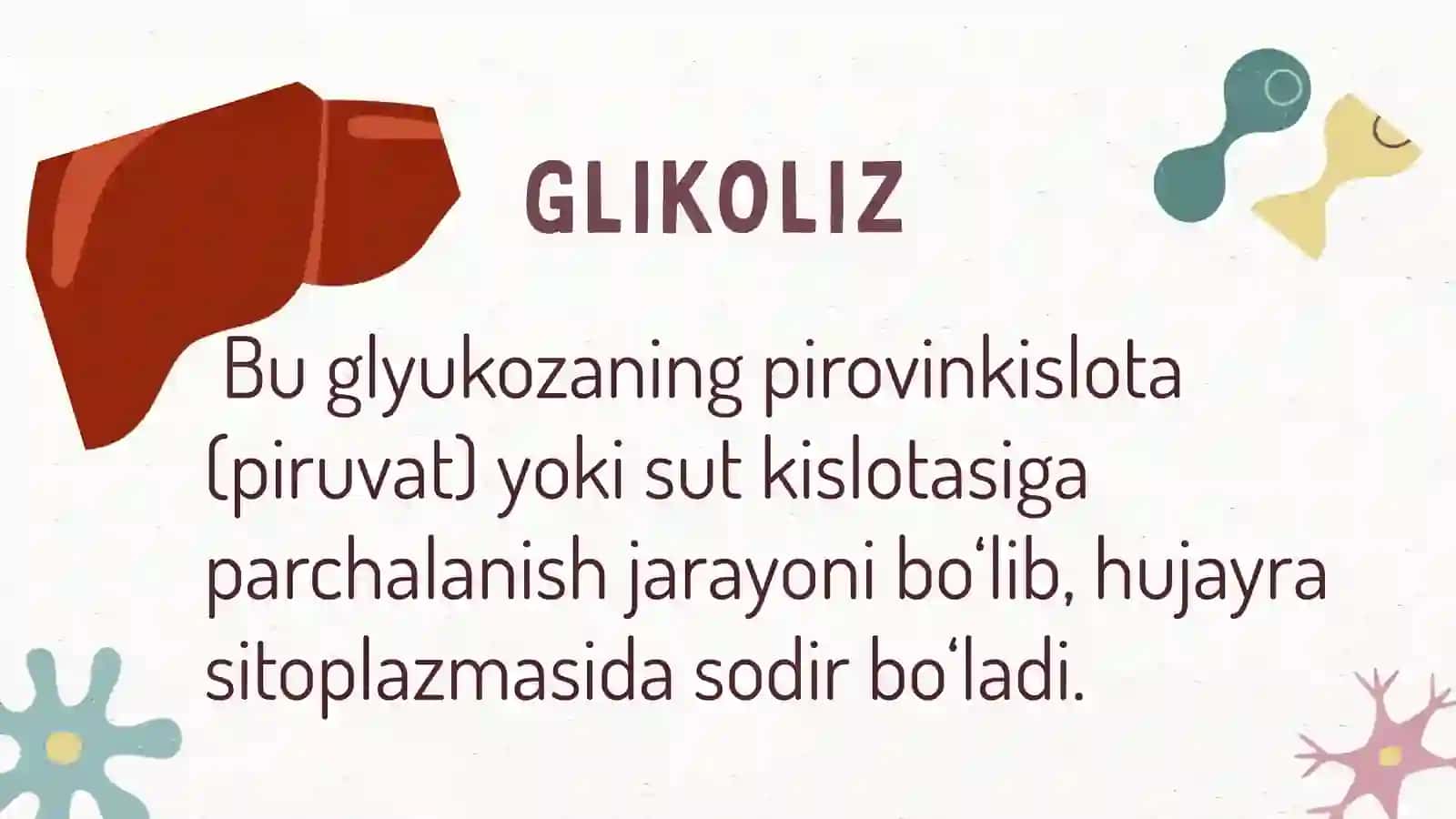Glikoliz va glikoneogenez 4