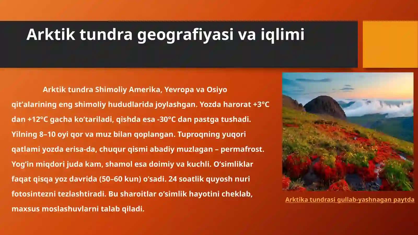 Arktik tundra oʻsimliklarini organish 4