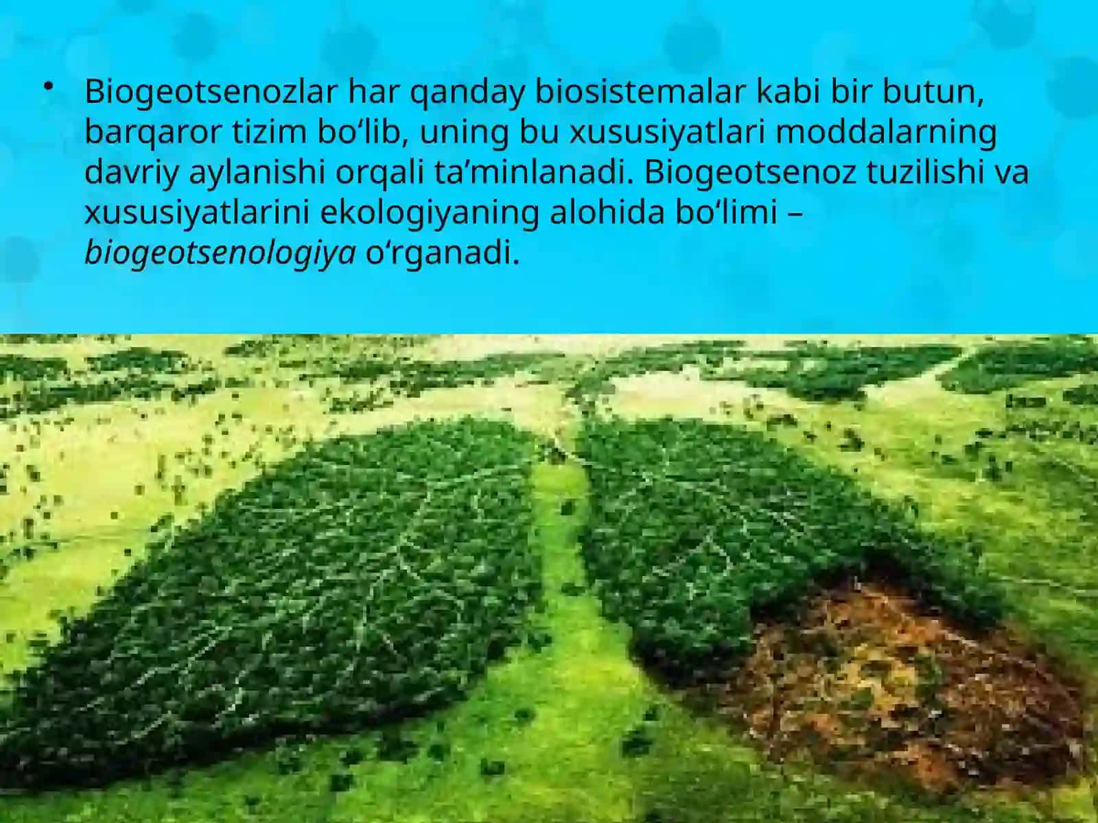 11-sinf Biologiya dars ishlanma. Hayotning ekosistema darajasi xususiyatlari. Biogeotsenoz - biologik sistema 4