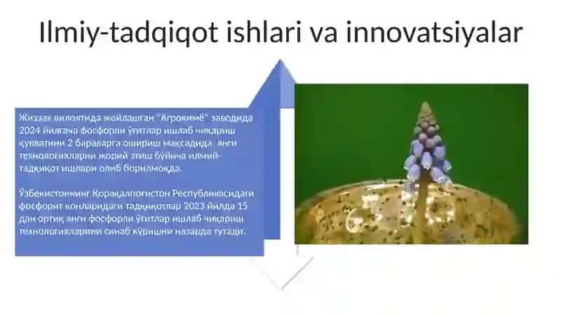 Mineral oʻgʻitlar ishlab chiqarishda tabiiy fosforit va appattitlardan foydalanish istiqbollari 4