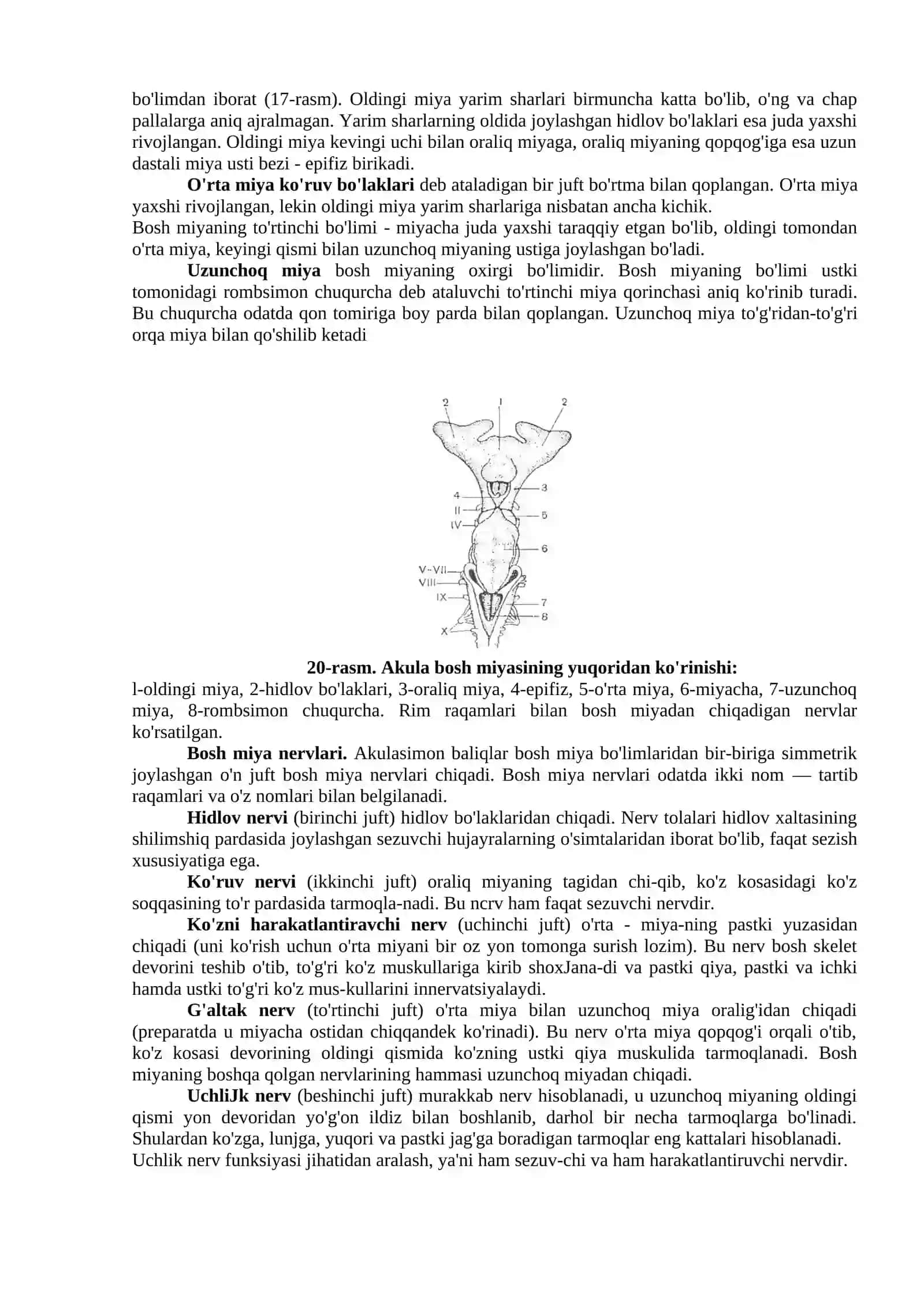 Tikanli Akulaning Tashqi va Ichki Tuzilishi 4