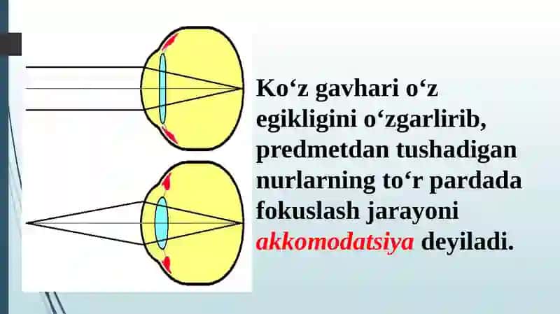 Ko‘znioptikkamera 4