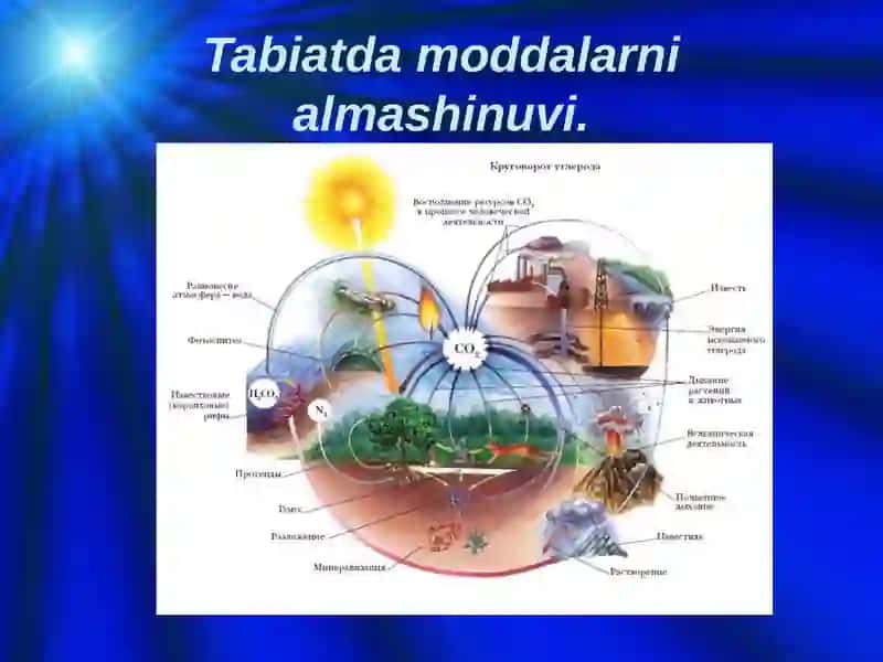 Biosferadamoddaalmashinuvi 4