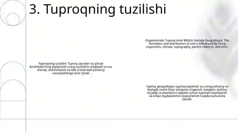 Organizmlar Tuproq Hosil Bólishi Hamda Geografiyasi 4