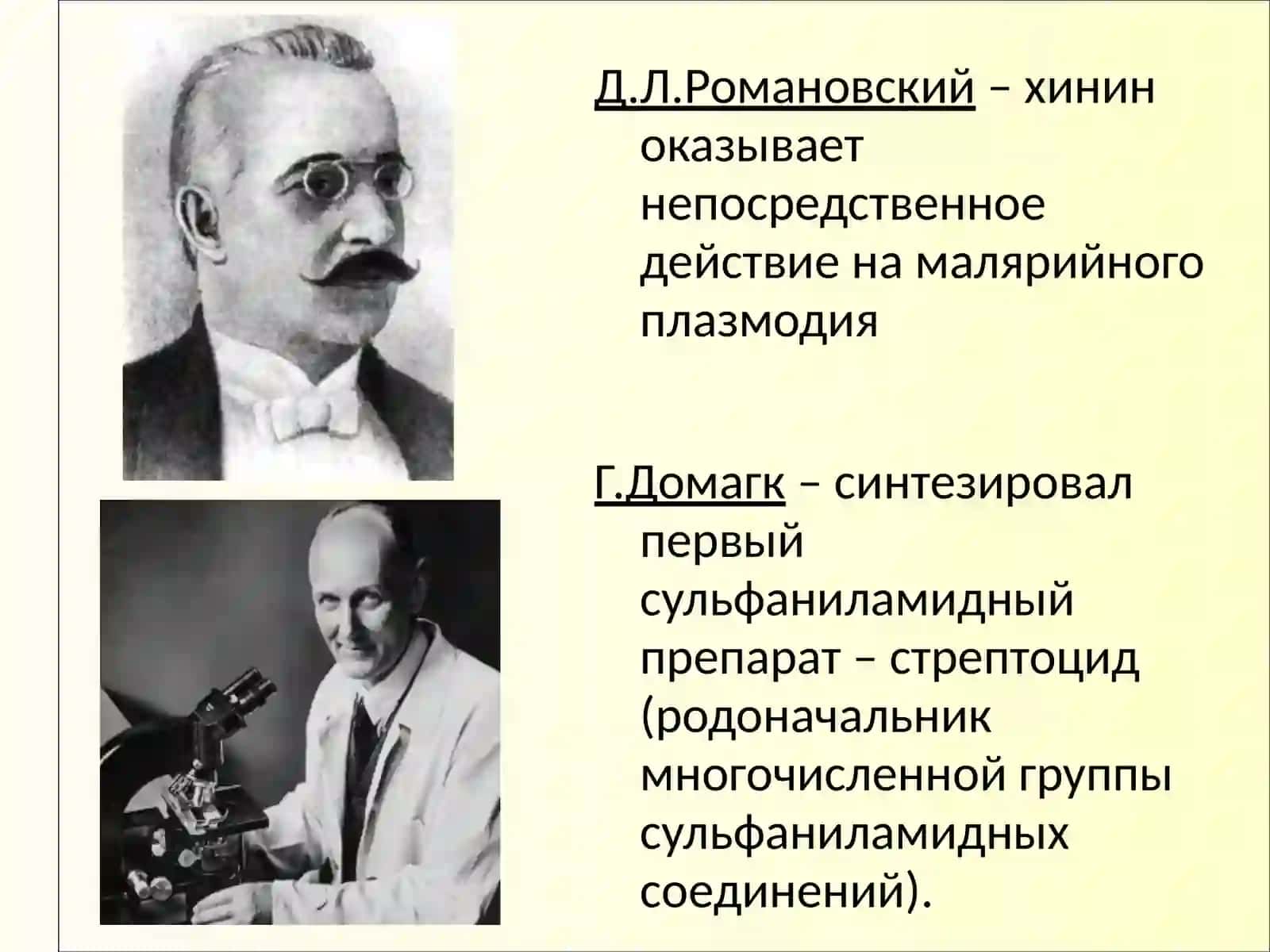 Химиотерапевтические противомикробные лекарственные средства 4