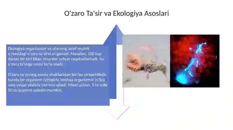 Biotexnologiya 4