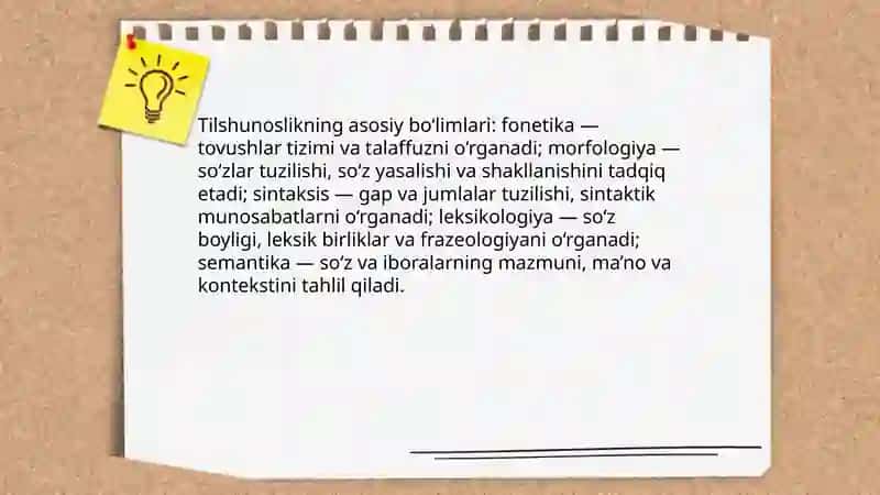 Tilshunoslik haqida umumiy ma'lumot 4