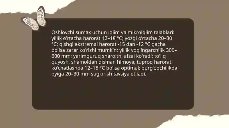 Oshlovchi sumax yetishtirish texnologiyasi 4