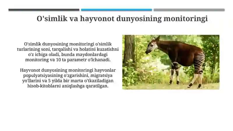 O'simliklar dunyosi va hayvanot olamini muhofaza qilish monitoringi 4