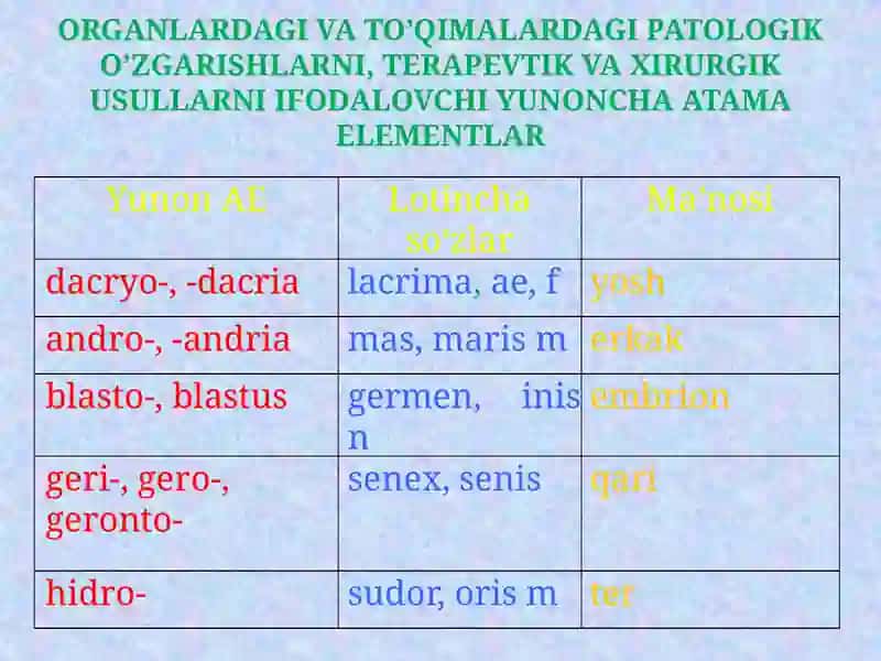 YUNONCHA ATAMA ELEMENTLAR 4